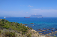 Punta Secreta migration watchpoint